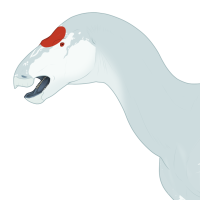 Thumbnail for 7103: Tui