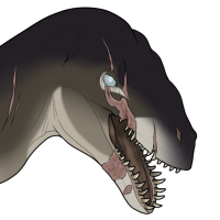 Thumbnail for 4025: Shred