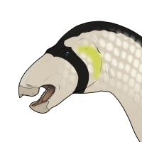 Thumbnail for 7117: Caol