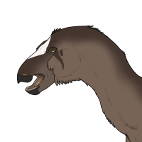 Thumbnail for 7123: Cacao