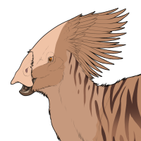 Thumbnail for 1429: Nutmeg