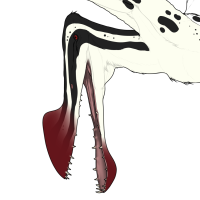 Thumbnail for 7151: Klekot/Dalmatinec