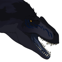 Thumbnail for 7162: Ripple kid