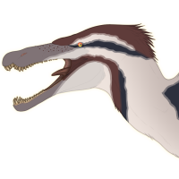 Thumbnail for 7176: Offspring of 2865 x 2373 Fr / Hd / PBPB