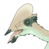 Thumbnail for 7192: Moth