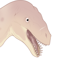 Thumbnail for 7194: Pluck