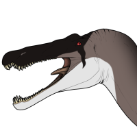 Thumbnail for 7202: Umbra