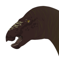 Thumbnail for 7213: Echeveria