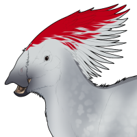 Thumbnail for 7217: Showpony