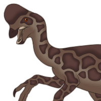 Thumbnail for 7224: Java