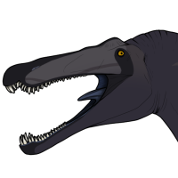 Thumbnail for 1325: Paddy ***