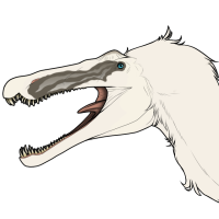 Thumbnail image for 7244: Lupine