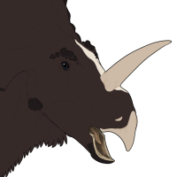 Thumbnail for 7279: Shire