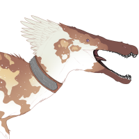 Thumbnail for 2606: Iaewen