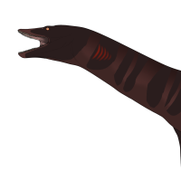 Thumbnail for 7297: Aristonectes