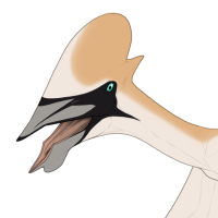 Thumbnail for 7298: Cove