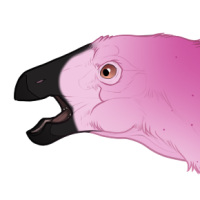 Thumbnail for 7304: Flamingo