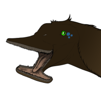 Thumbnail for 7311: Puddles