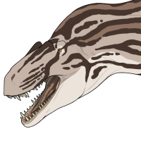 Thumbnail for 7317: Poppy