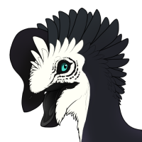 Thumbnail for 7334: Corvid