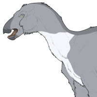 Thumbnail for 7345: Sokka