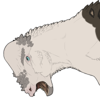 Thumbnail for 7357: Zeno (He/Him)