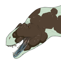 Thumbnail for 7359: Feathered Chocolate Mint Swirl :  Ma / St / Hd / Pa / Ub : F