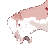 Thumbnail for 7363: Cavalier