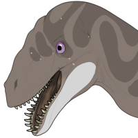 Thumbnail for 7392: Sencha