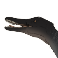 Thumbnail for 7415: Skua ☆