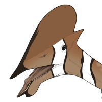 Thumbnail for 7417: Jazzy