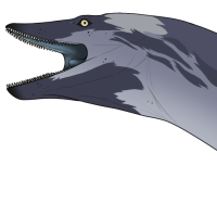 Thumbnail for 7432: Sven