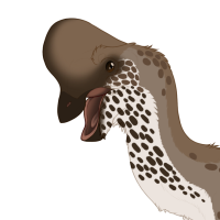 Thumbnail for 7456: Twig In Thicket Where Birds Nest