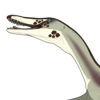 Thumbnail for 7465: Snack