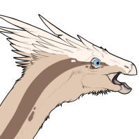 Thumbnail for 7476: Seashell