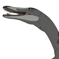 Thumbnail for 7482: Diana