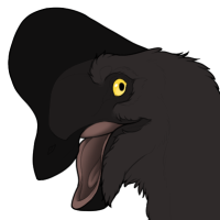 Thumbnail for 7493: Currawong