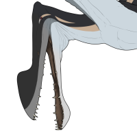 Thumbnail for 7497: Empress