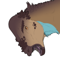 Thumbnail for 7505: Pachycephalosaurus