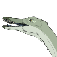 Thumbnail for 7506: Runt