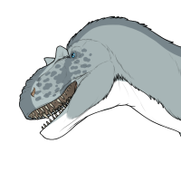 Thumbnail for 7507: Newbie