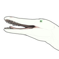 Thumbnail for 7510: Wintermelon