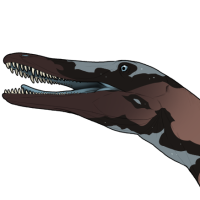 Thumbnail for 7512: Neuquenraptor