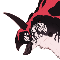 Thumbnail for 7523: Tegu