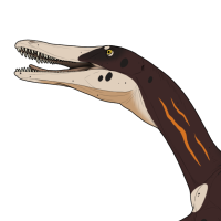 Thumbnail for 7525: Jack (He/Him)