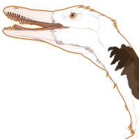 Thumbnail for 7544: Neuquenraptor