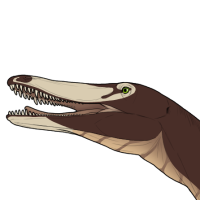 Thumbnail for 7545: Siraj - Neuquenraptor Cr / Hd / Sp