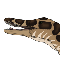 Thumbnail for 7546: Rattlesnake