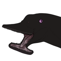 Thumbnail for 7547: Rivet - Atopodentatus Ml / Sd / Cu