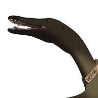 Thumbnail image for 7553: Malinois